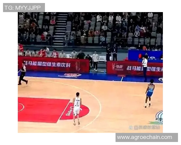 CBA独一份!四川全华班迎新赛季 提前锁定倒一