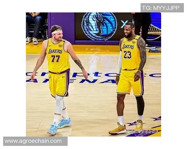 艾顿完美表现 湖人战胜猛龙